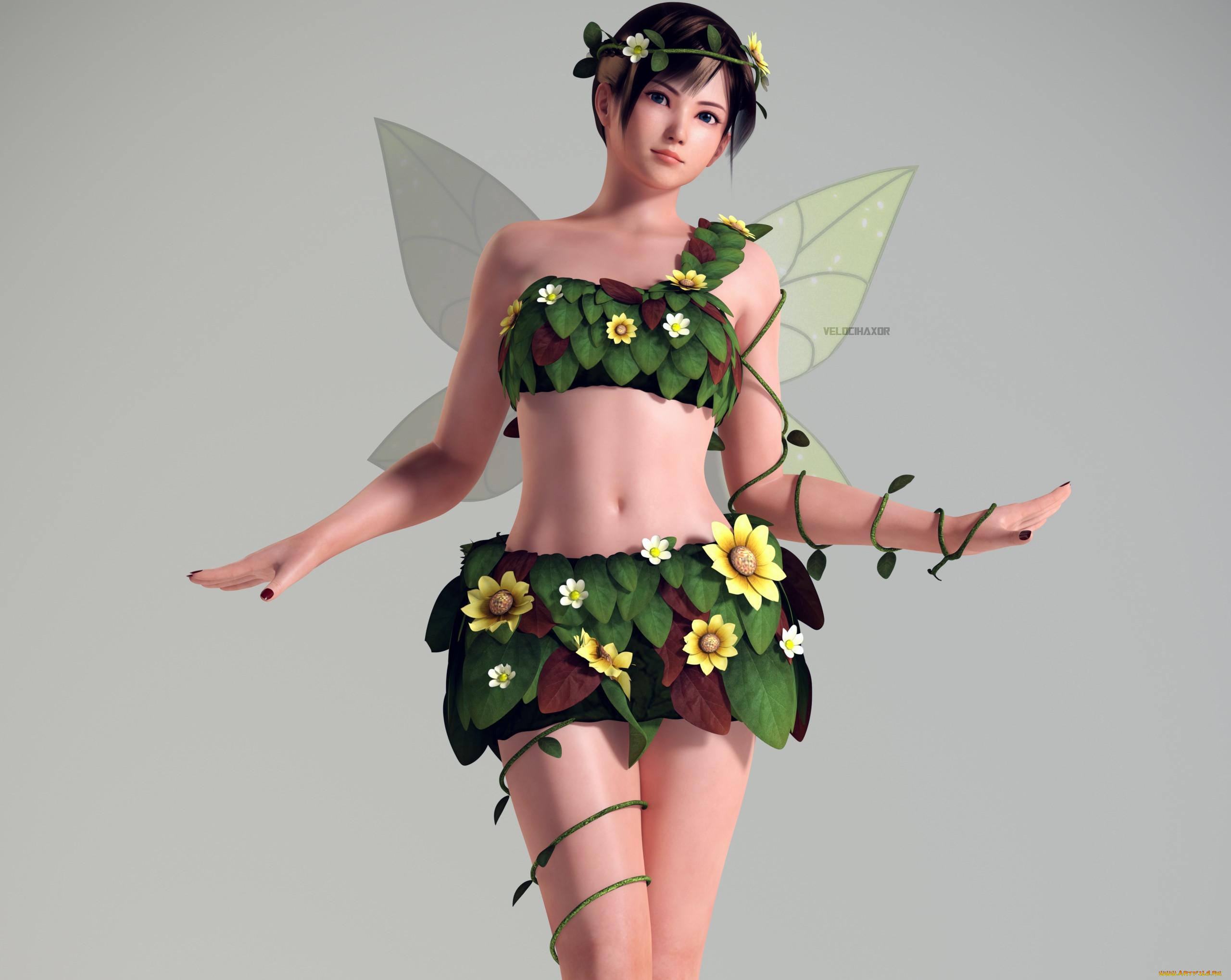 3 ,  , elves, , , , 